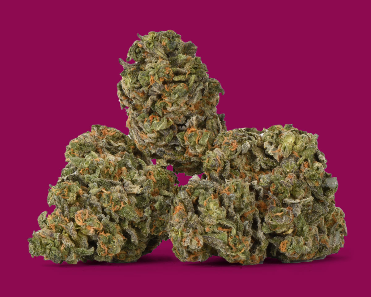 Citrus Rush - Flower Image