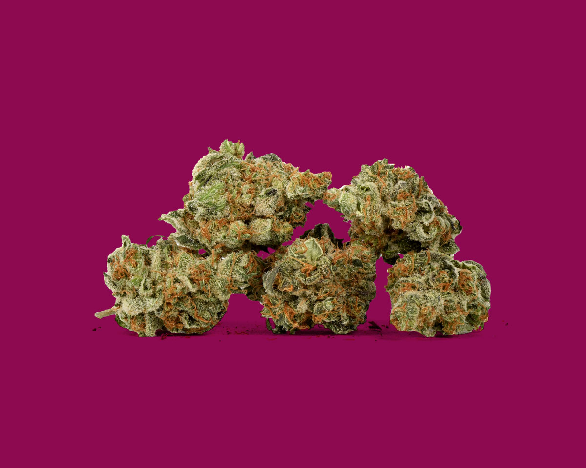 Rainmaker - Flower Image