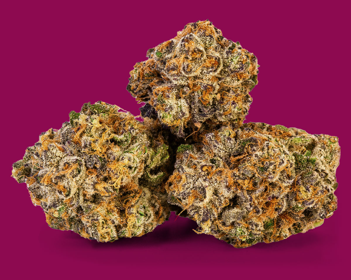 West Coast Banana Skunk - Flower Image